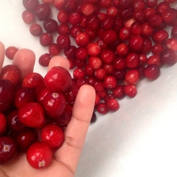 Earthgood 3.5oz Cranberry Face & Body Lotion. Ethical Sustainable Skin Care. New - Picture 4 of 9